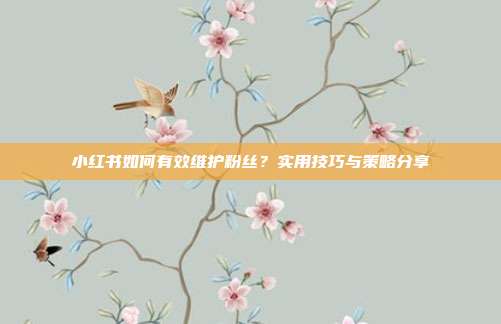 小红书如何有效维护粉丝？实用技巧与策略分享