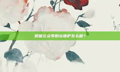 微信公众号粉丝维护怎么做？