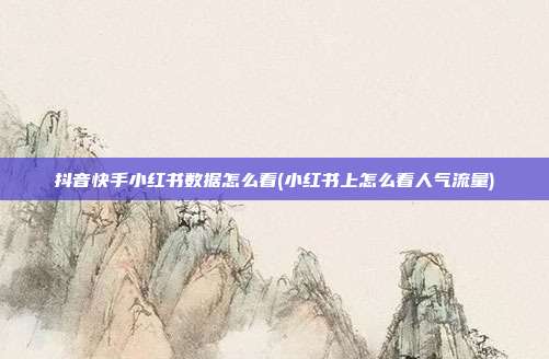 抖音快手小红书数据怎么看(小红书上怎么看人气流量)
