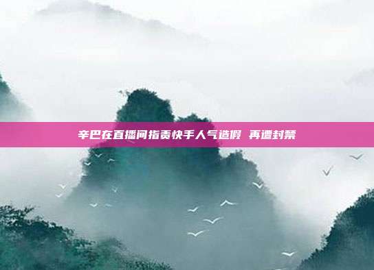 辛巴在直播间指责快手人气造假 再遭封禁