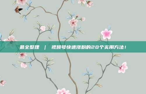 最全整理 ｜ 视频号快速涨粉的20个实用方法！