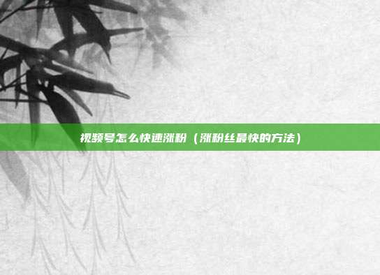 视频号怎么快速涨粉(涨粉丝最快的方法)