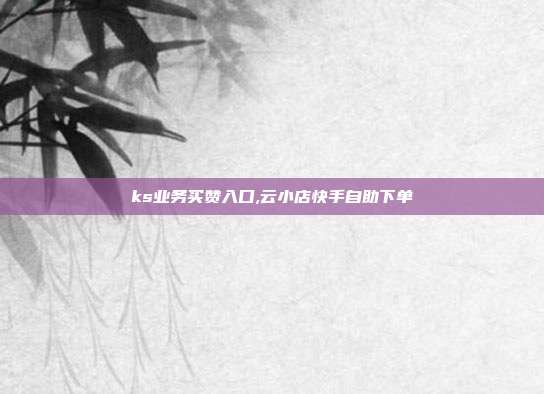 ks业务买赞入口,云小店快手自助下单
