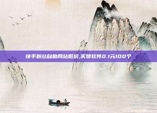 快手粉丝自助网站低价,买赞软件0.1元100个