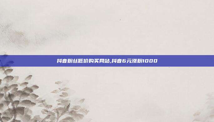 抖音粉丝低价购买网站,抖音6元涨粉1000