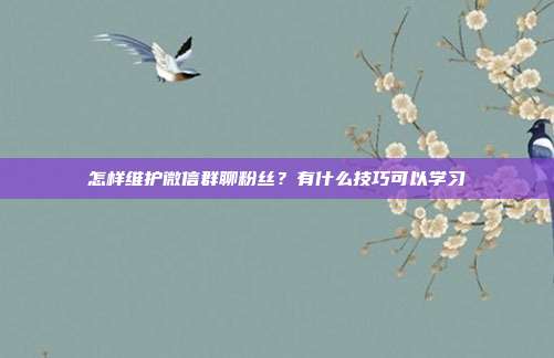 怎样维护微信群聊粉丝?有什么技巧可以学习