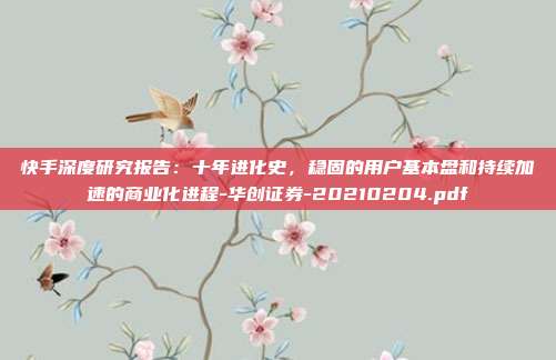 快手深度研究报告:十年进化史,稳固的用户基本盘和持续加速的商业化进程-华创证券-20210204.pdf