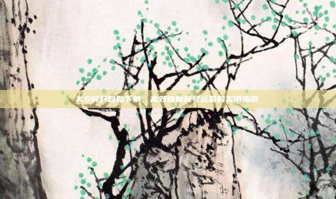 KS解封自助下单，高效恢复账号运营的实用指南