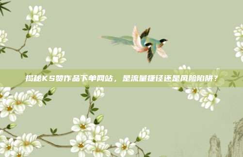 揭秘KS赞作品下单网站，是流量捷径还是风险陷阱？