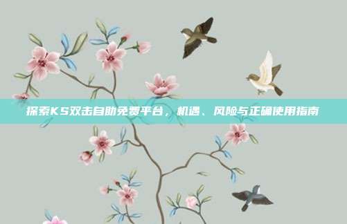 探索KS双击自助免费平台，机遇、风险与正确使用指南