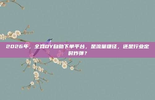 2026年，全网DY自助下单平台，是流量捷径，还是行业定时炸弹？
