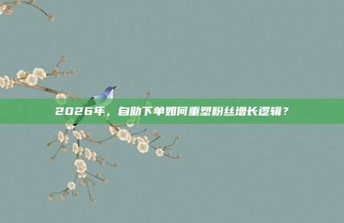 2026年，自助下单如何重塑粉丝增长逻辑？