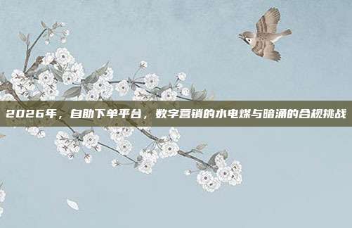 2026年，自助下单平台，数字营销的水电煤与暗涌的合规挑战