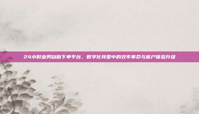 24小时业务自助下单平台，数字化转型中的效率革命与客户体验升级