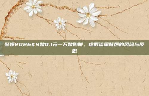警惕2026KS赞0.1元一万赞陷阱，虚假流量背后的风险与反思