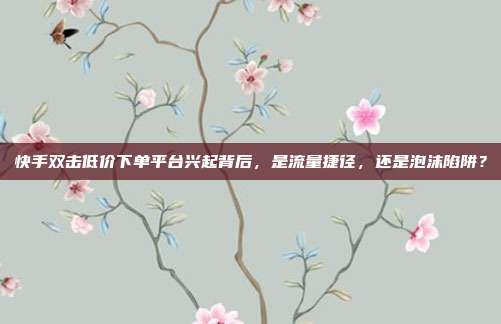 快手双击低价下单平台兴起背后，是流量捷径，还是泡沫陷阱？