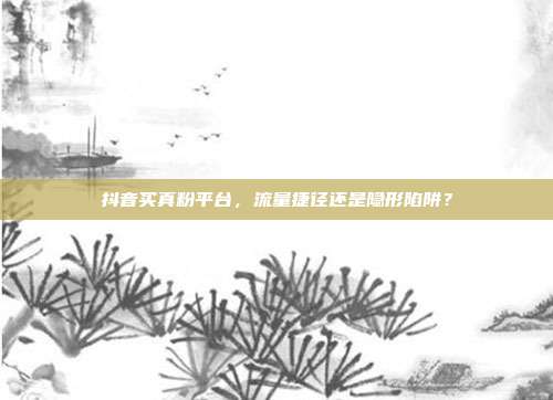 抖音买真粉平台，流量捷径还是隐形陷阱？