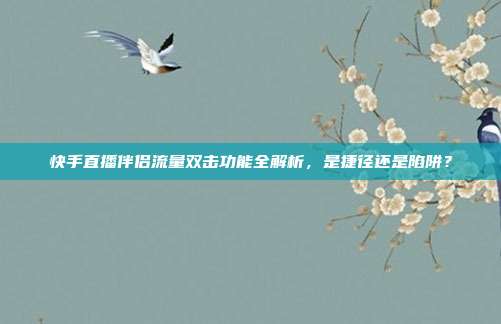 快手直播伴侣流量双击功能全解析，是捷径还是陷阱？