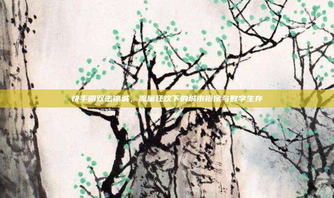 快手刷双击锦城,流量狂欢下的城市镜像与数字生存