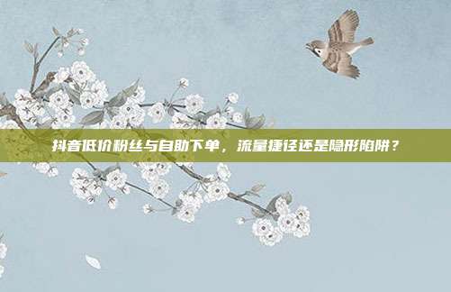 抖音低价粉丝与自助下单，流量捷径还是隐形陷阱？