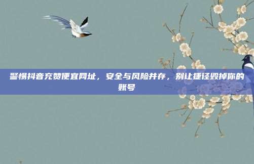 警惕抖音充赞便宜网址，安全与风险并存，别让捷径毁掉你的账号
