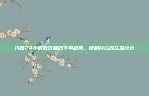 抖音24小时低价自助下单暗流,便利背后的生态隐忧