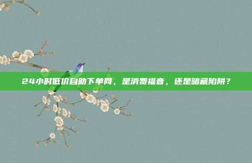 24小时低价自助下单网，是消费福音，还是暗藏陷阱？