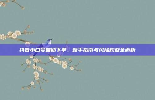 抖音小白号自助下单，新手指南与风险规避全解析