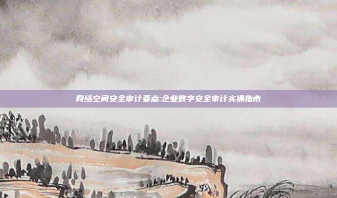 网络空间安全审计要点:企业数字安全审计实操指南
