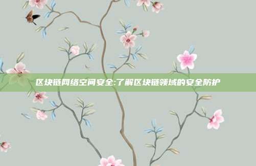 区块链网络空间安全:了解区块链领域的安全防护