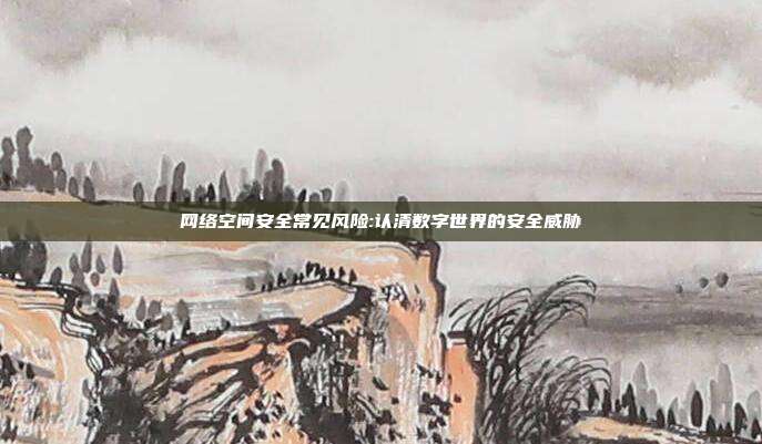 网络空间安全常见风险:认清数字世界的安全威胁