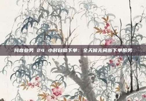 抖音业务 24 小时自助下单：全天候无间断下单服务