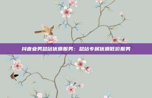 抖音业务总站优质服务：总站专属优质低价服务