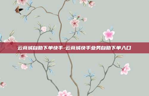 云商城自助下单快手-云商城快手业务自助下单入口