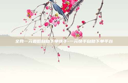 全网一元最低自助下单快手-一元快手自助下单平台