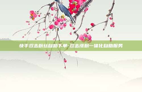快手双击粉丝自助下单-双击涨粉一体化自助服务