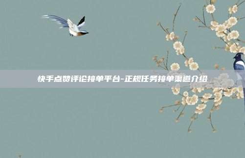 快手点赞评论接单平台-正规任务接单渠道介绍