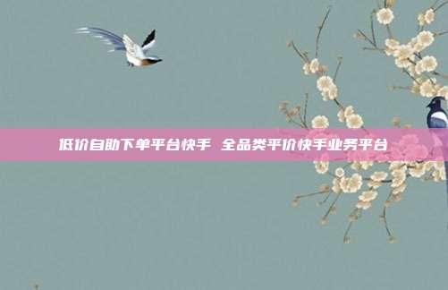 低价自助下单平台快手 全品类平价快手业务平台