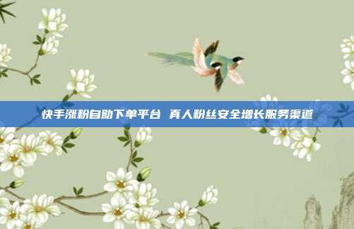 快手涨粉自助下单平台 真人粉丝安全增长服务渠道