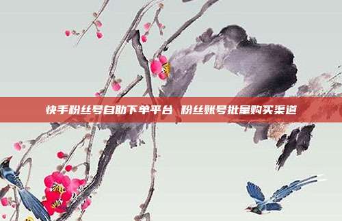 快手粉丝号自助下单平台 粉丝账号批量购买渠道