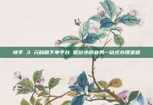 快手 3 元自助下单平台 低价小额业务一站式办理渠道