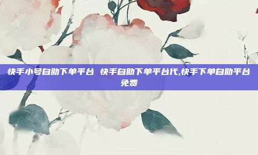 快手小号自助下单平台 快手自助下单平台代,快手下单自助平台免费