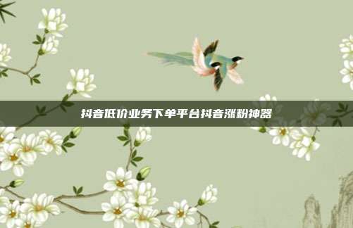 抖音低价业务下单平台抖音涨粉神器