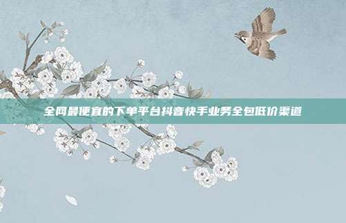 全网最便宜的下单平台抖音快手业务全包低价渠道