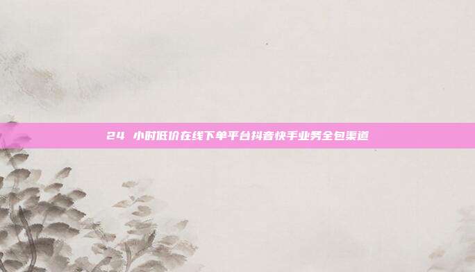 24 小时低价在线下单平台抖音快手业务全包渠道