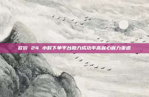 砍价 24 小时下单平台助力成功率高省心省力渠道