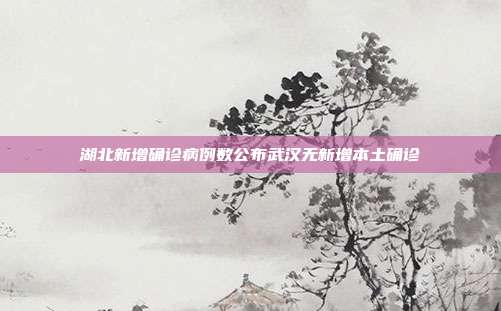 湖北新增确诊病例数公布武汉无新增本土确诊