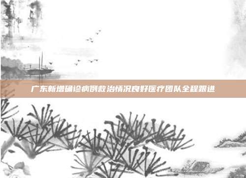 广东新增确诊病例救治情况良好医疗团队全程跟进