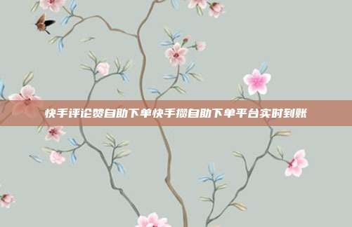 快手评论赞自助下单快手攒自助下单平台实时到账