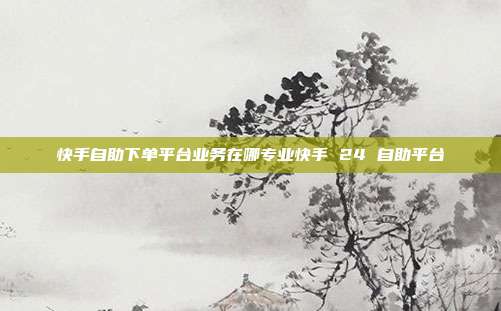 快手自助下单平台业务在哪专业快手 24 自助平台